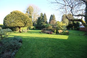 Photo 10- click for photo gallery